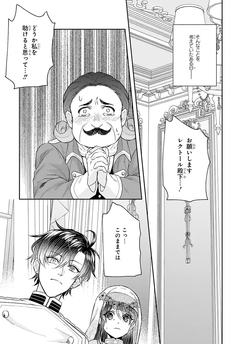 Seijo no hazu ga, Douyara Nottoraremashita - Chapter 46 - Page 27