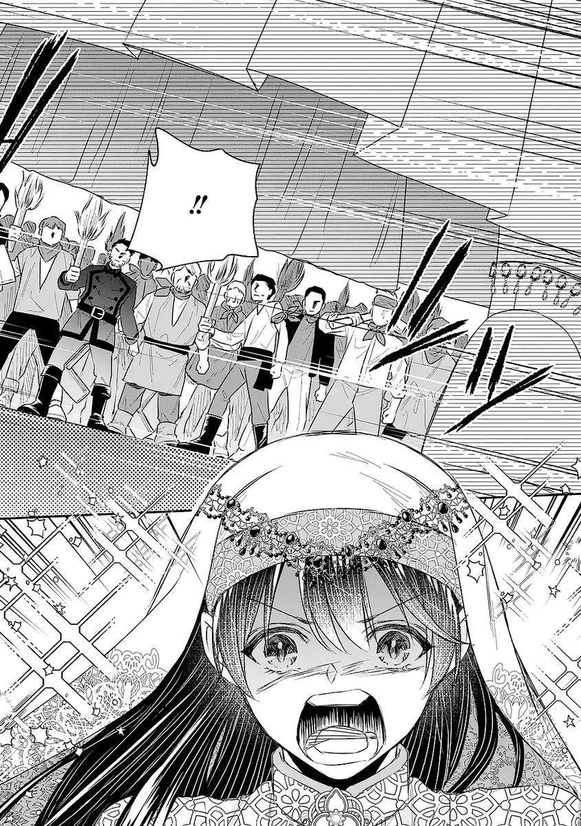Seijo no hazu ga, Douyara Nottoraremashita - Chapter 50 - Page 20