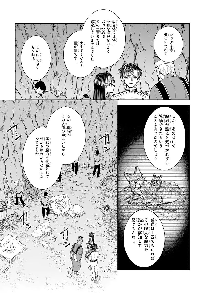 Seijo no hazu ga, Douyara Nottoraremashita - Chapter 54 - Page 25