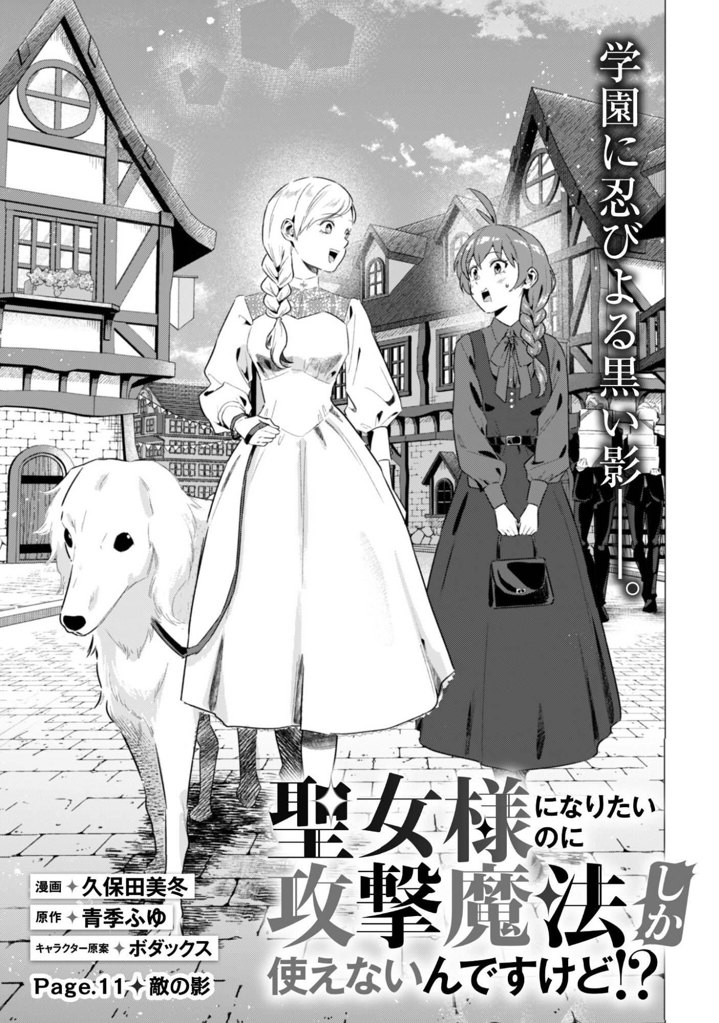 Seijo Sama ni Naritai noni Kougeki Mahou Shika Tsukaenain desu kedo!? - Chapter 11 - Page 6