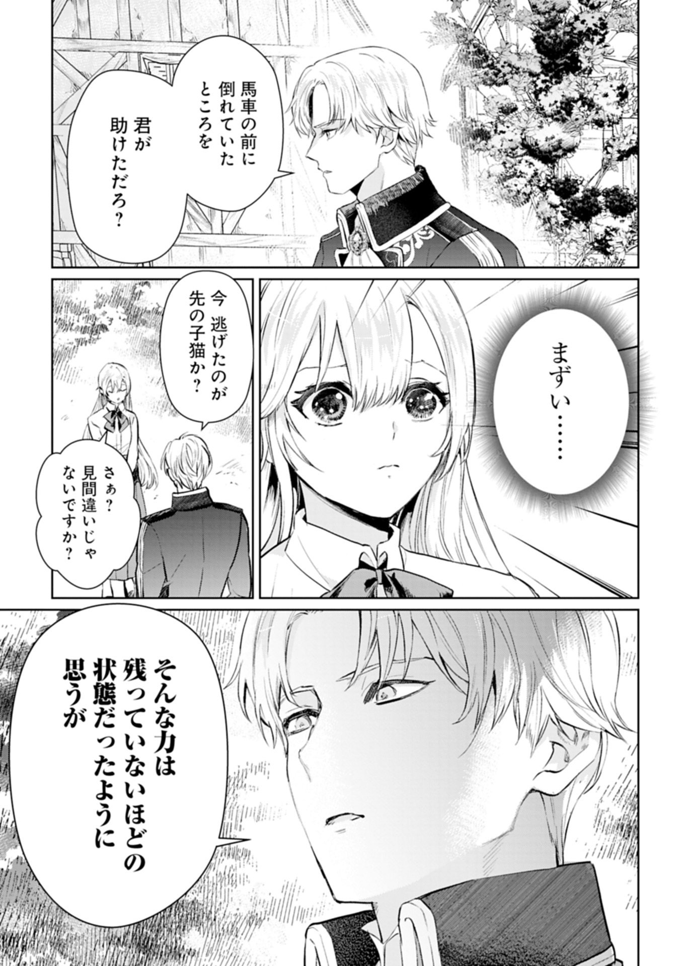 Sekai Saikyou no Maryoku Mochi wa Heion ni Kurashitai Nazeka Outaishi Denka ni Shuuchaku sareteimasu - Chapter 1 - Page 25