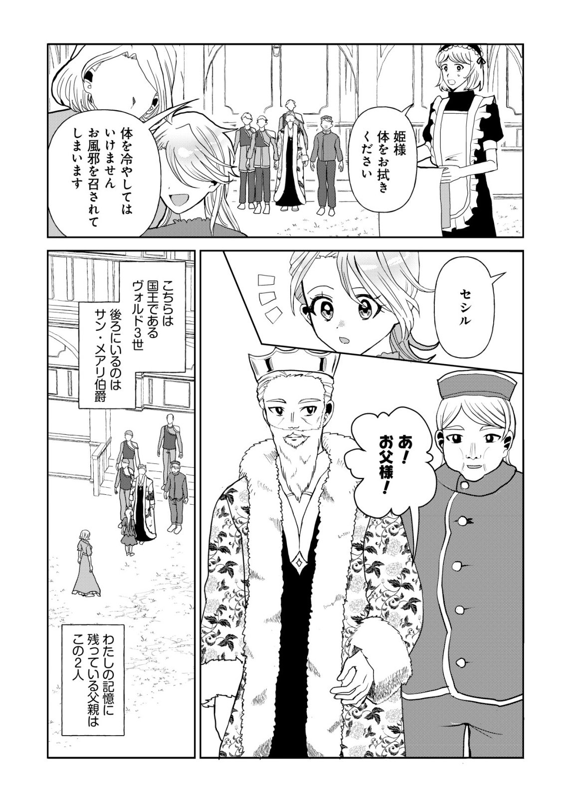 Shihime to Yobareta Mahoutsukai to Henkyou no Saikoyu Kenshi - Chapter 2 - Page 4