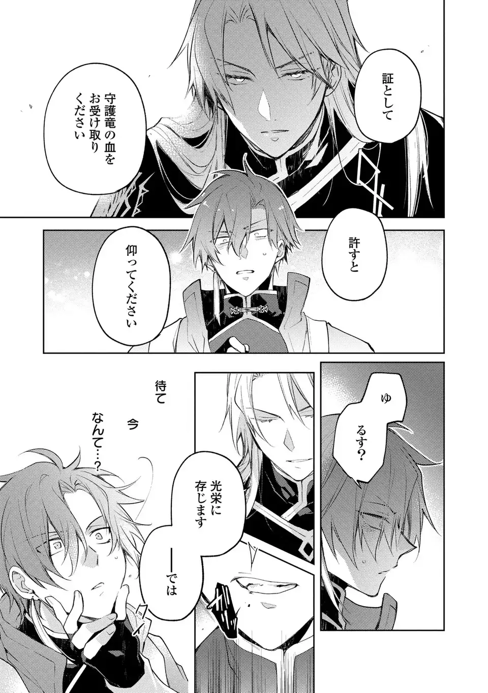 Shinryuu no Koukeisha Dekisokonai to Futari no Shugoryuu - Chapter 3 - Page 29