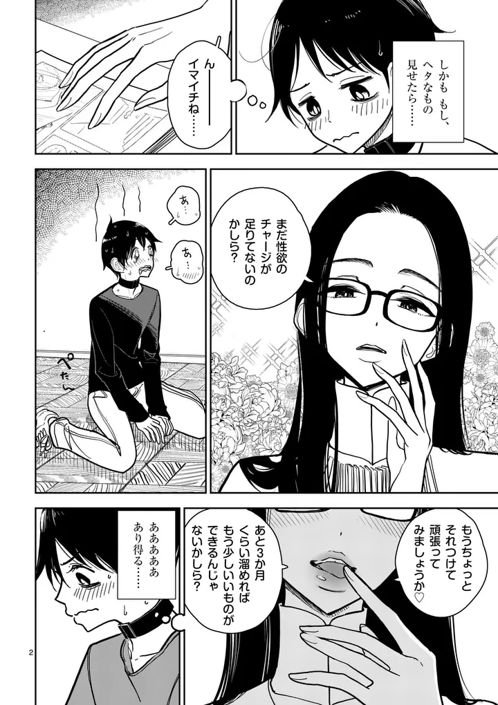 Sono Honoo no Na wa Seiheki - Chapter 4 - Page 2