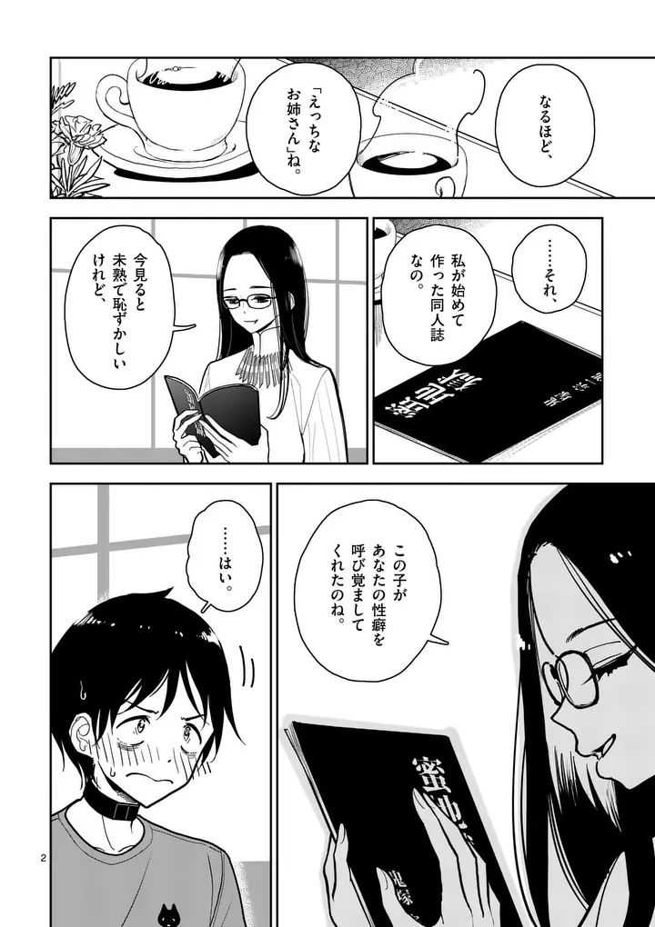 Sono Honoo no Na wa Seiheki - Chapter 5 - Page 2
