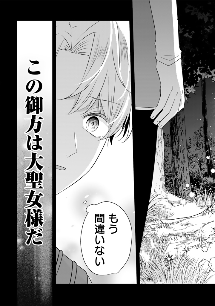 Tensei Seijo wa Hikikomori Slow Life wo Mezashitai! - Chapter 11.1 - Page 9