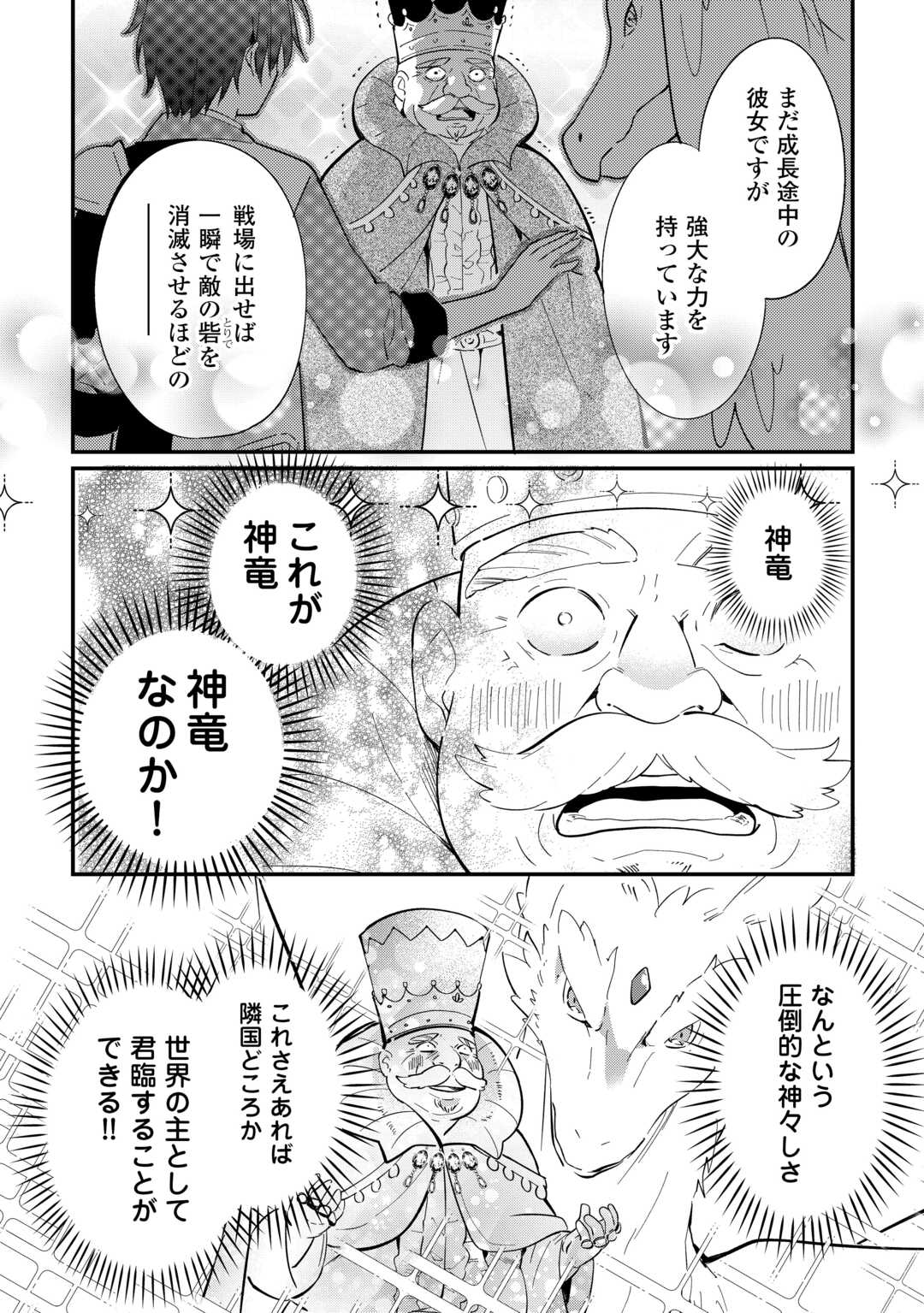 Tokage (Hontou wa Shinryuu) wo Shoukan Shita Seijuu Tsukai, Ryuu no Senaka de Kaitaku Life - Chapter 26 - Page 8