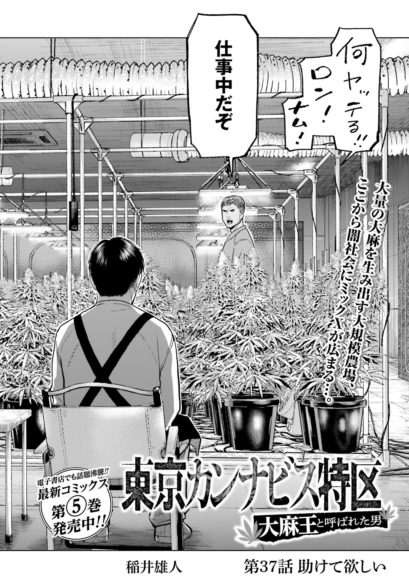 Tokyo Cannabis Tokku - Taimaou to Yobareta Otoko - Chapter 37 - Page 2