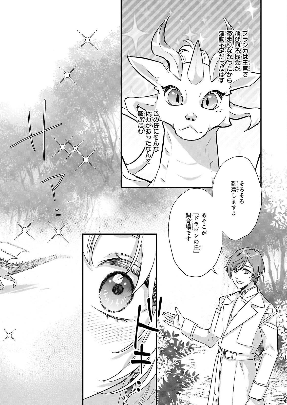 Tsuihousareta Dragonzuki Reijou wa, Hokuhen Henkyohaku no Ai ni Kidzukanai - Chapter 5 - Page 13