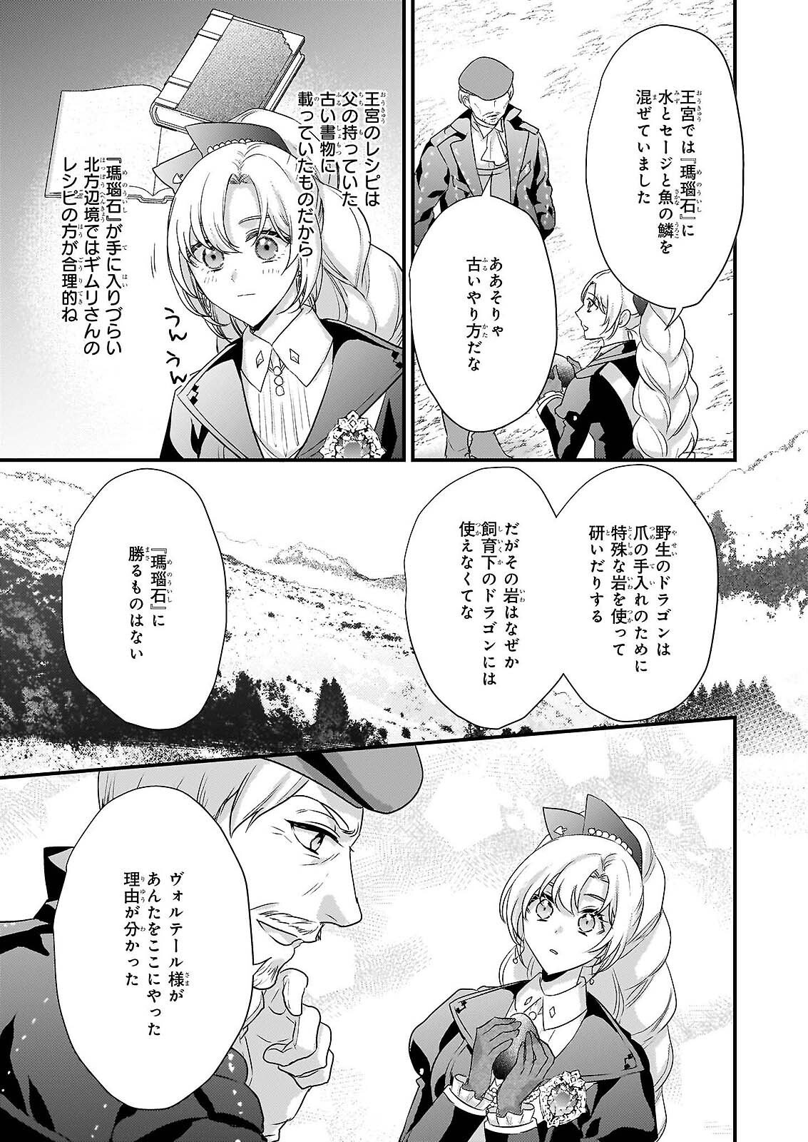 Tsuihousareta Dragonzuki Reijou wa, Hokuhen Henkyohaku no Ai ni Kidzukanai - Chapter 5 - Page 27