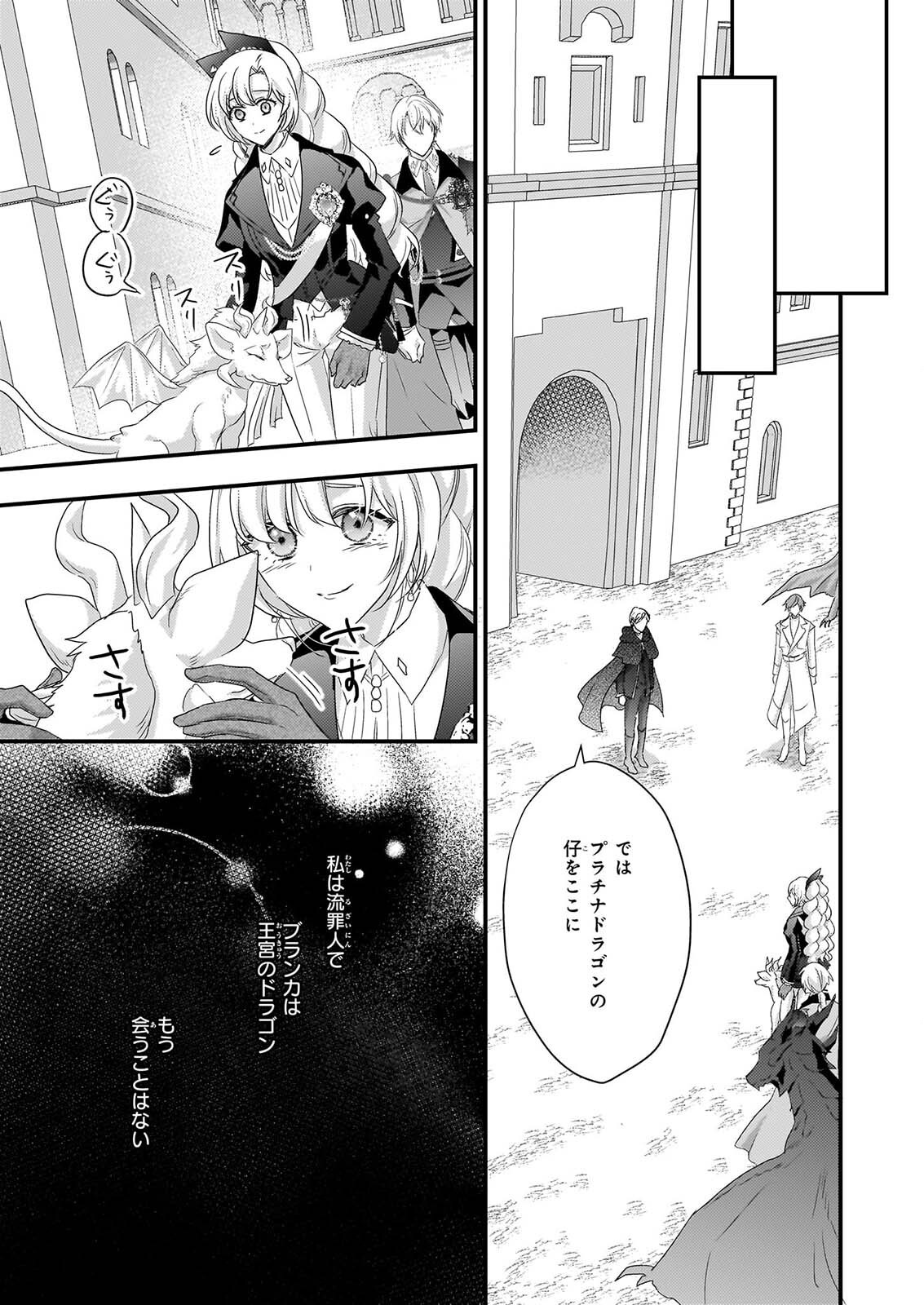 Tsuihousareta Dragonzuki Reijou wa, Hokuhen Henkyohaku no Ai ni Kidzukanai - Chapter 6 - Page 17