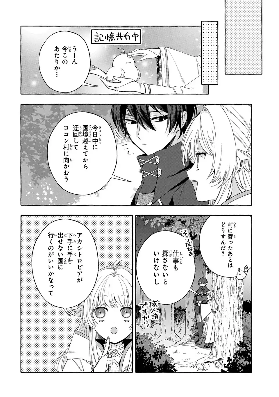 Watashi no Tsukutta Sennen Oukoku Tensai Madoushi no Jiyuu Kimama na Tensei Musoutan - Chapter 8 - Page 12