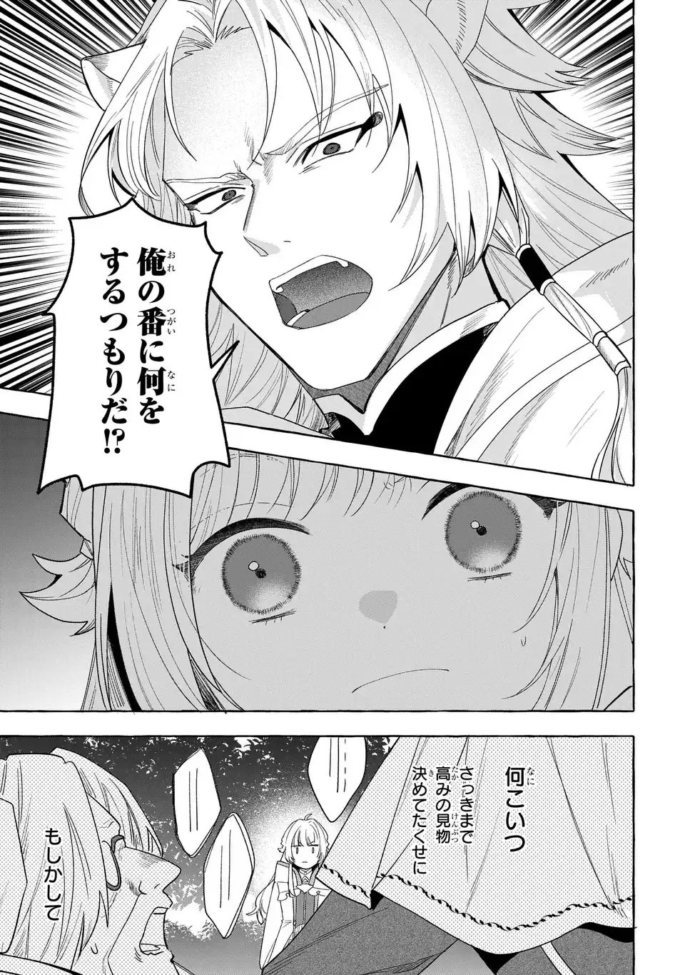 Watashi no Tsukutta Sennen Oukoku Tensai Madoushi no Jiyuu Kimama na Tensei Musoutan - Chapter 9 - Page 17