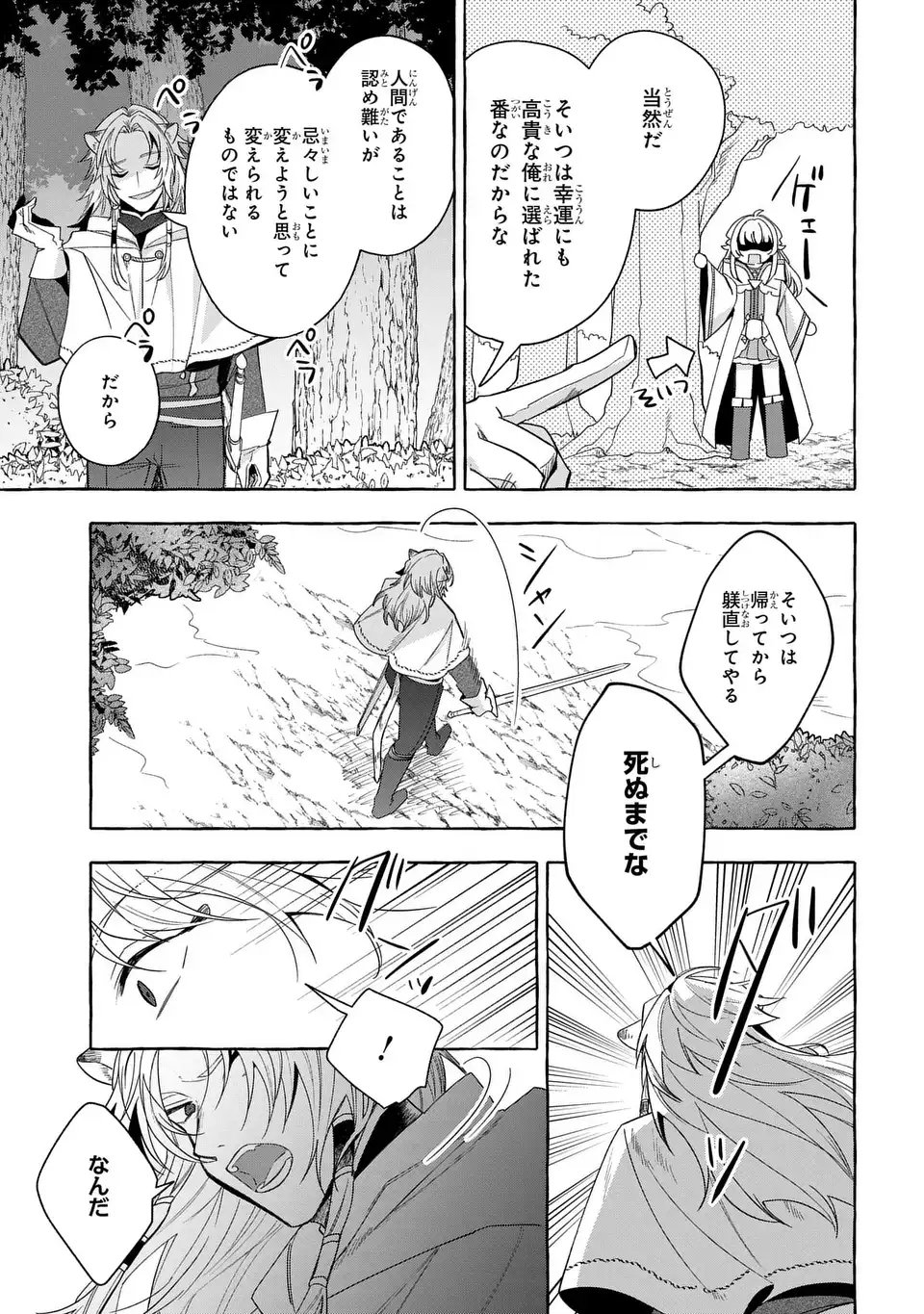 Watashi no Tsukutta Sennen Oukoku Tensai Madoushi no Jiyuu Kimama na Tensei Musoutan - Chapter 9 - Page 25