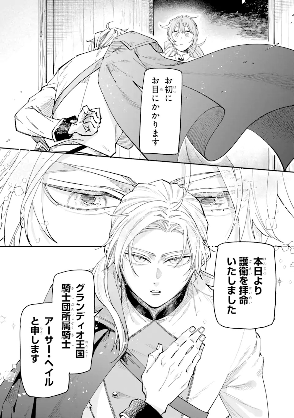Yuuhei sareta Enka no Koushaku Reijou to Bukiyou na Goei Kishi - Chapter 0 - Page 9